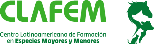 Congresos CLAFEM